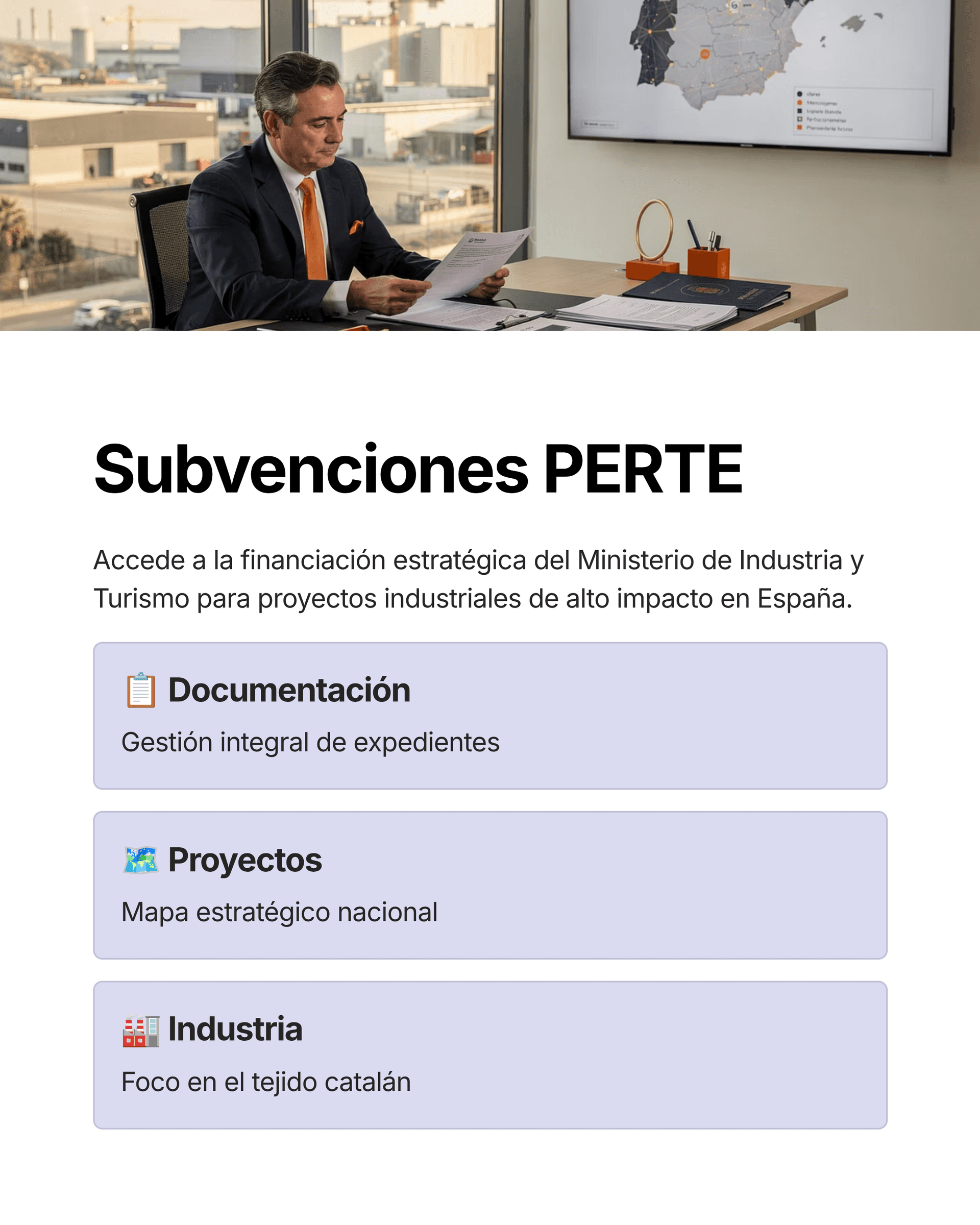 PERTE: guia completa dels 12 projectes estratègics per a empreses